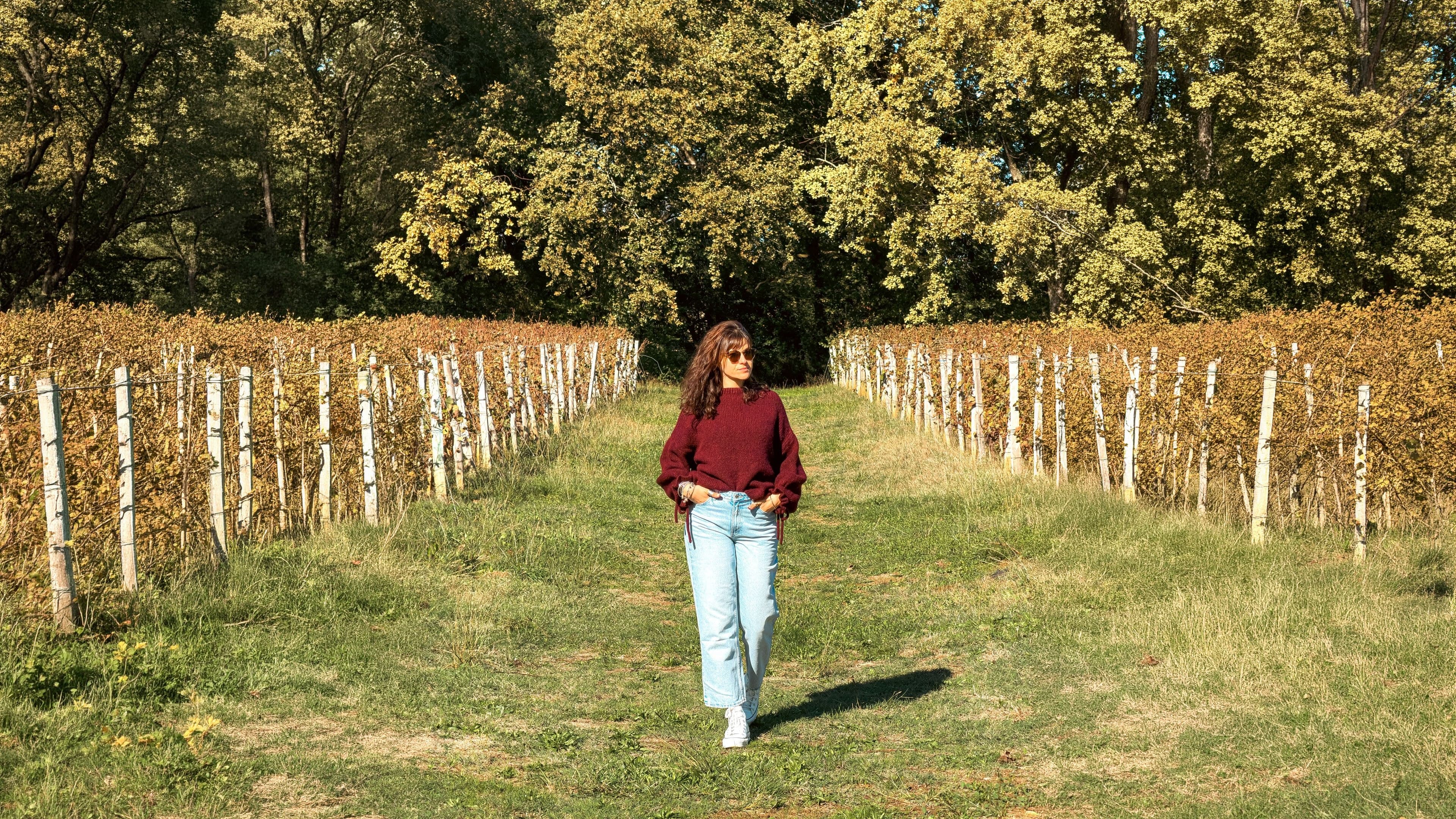 Femme en pull en maille bordeaux, jean clair et lunettes de soleil, marchant dans une allée de vignes en automne