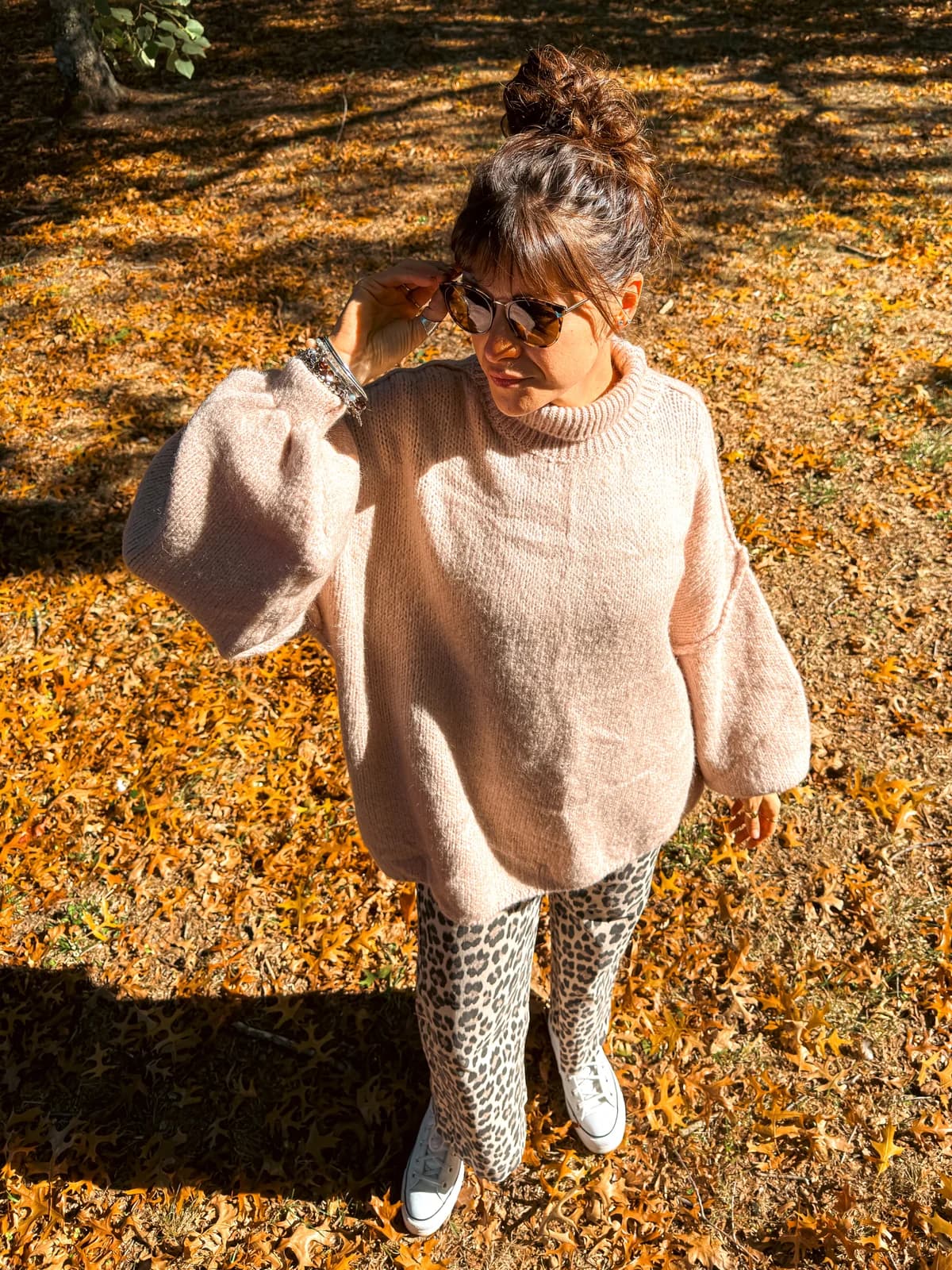 Pull Églantine